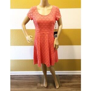 NEW Adrianna Papell French Coral lace dress